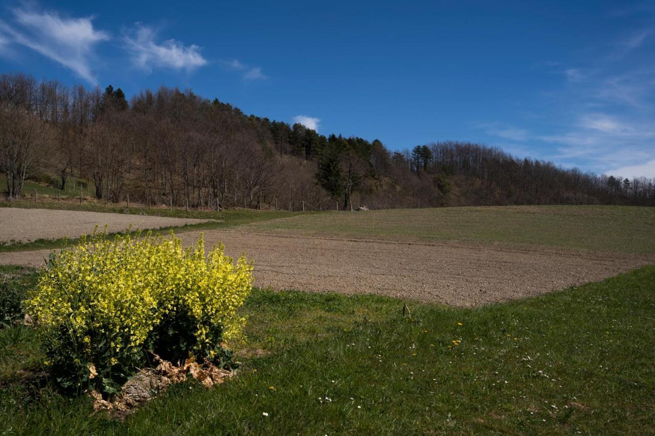 028 - Agriturismo "Il Boschetto" Con Piscina, Pace E Natura - Camera Familiare Cavizzano Exterior foto