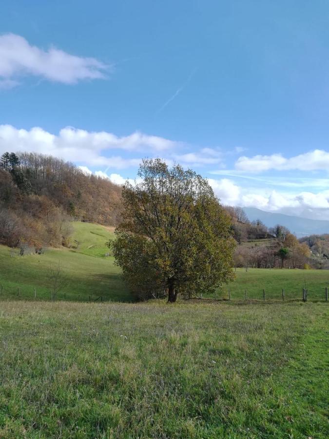 028 - Agriturismo "Il Boschetto" Con Piscina, Pace E Natura - Camera Familiare Cavizzano Exterior foto