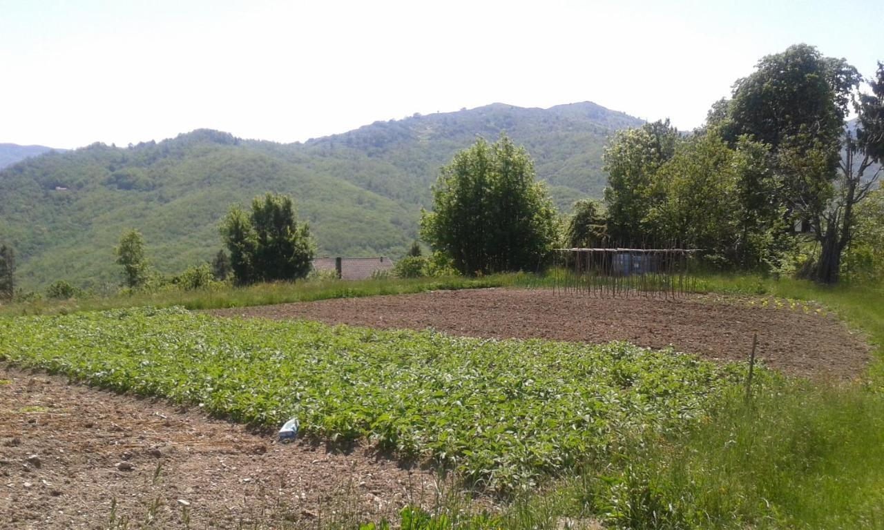 028 - Agriturismo "Il Boschetto" Con Piscina, Pace E Natura - Camera Familiare Cavizzano Exterior foto